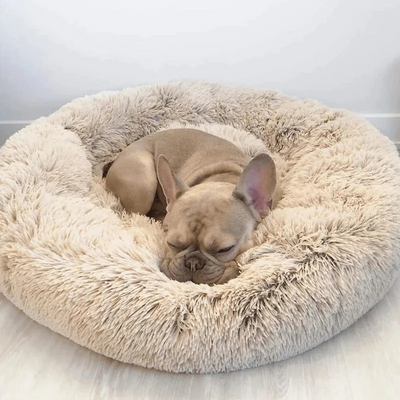 CalmingBed | Een gezellig en veilig bed voor huisdieren