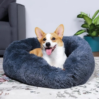 CalmingBed | Een gezellig en veilig bed voor huisdieren
